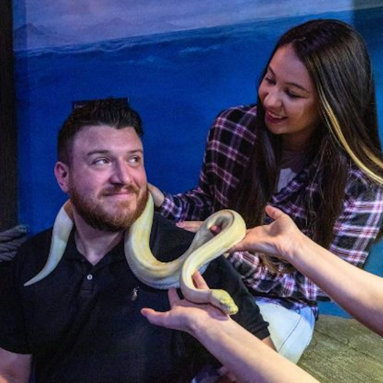 SeaQuest Las Vegas - Photo 1 of 2